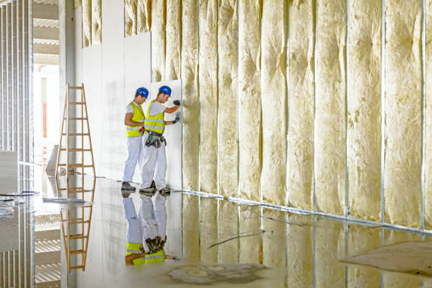 Best Blown-in Insulation in Southworth, WA
